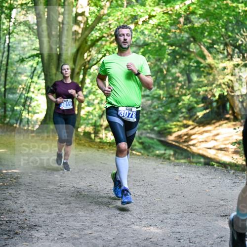 28.09.2025 - 33. Volkslauf durch das schöne Alstertal Dr. Thomas Lammeyer http://msf.ph/oto/8957064 28.09.2025 10:46:54 Laufen 94, 3019, 3078, 3907 meine-sportfotos.de