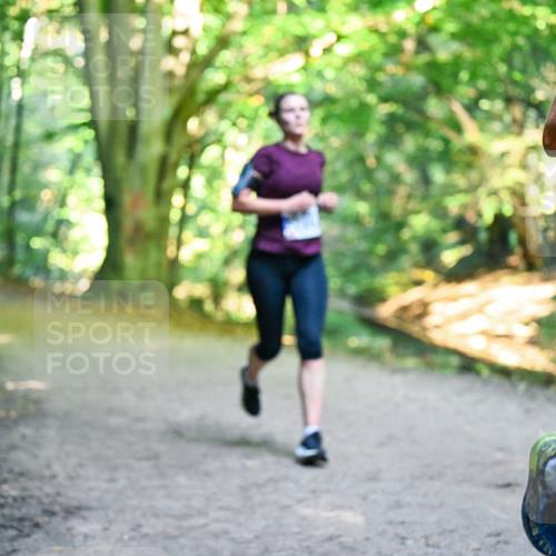 28.09.2025 - 33. Volkslauf durch das schöne Alstertal Dr. Thomas Lammeyer http://msf.ph/oto/8957072 28.09.2025 10:46:55 Laufen 30 meine-sportfotos.de
