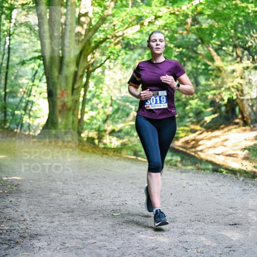 28.09.2025 - 33. Volkslauf durch das schöne Alstertal Dr. Thomas Lammeyer http://msf.ph/oto/8957073 28.09.2025 10:46:55 Laufen 3019 meine-sportfotos.de