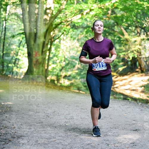 28.09.2025 - 33. Volkslauf durch das schöne Alstertal Dr. Thomas Lammeyer http://msf.ph/oto/8957074 28.09.2025 10:46:56 Laufen 3019 meine-sportfotos.de