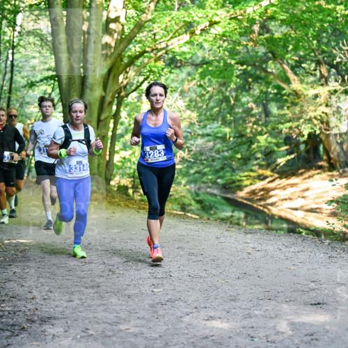28.09.2025 - 33. Volkslauf durch das schöne Alstertal Dr. Thomas Lammeyer http://msf.ph/oto/8957095 28.09.2025 10:47:06 Laufen 3314, 3283 meine-sportfotos.de