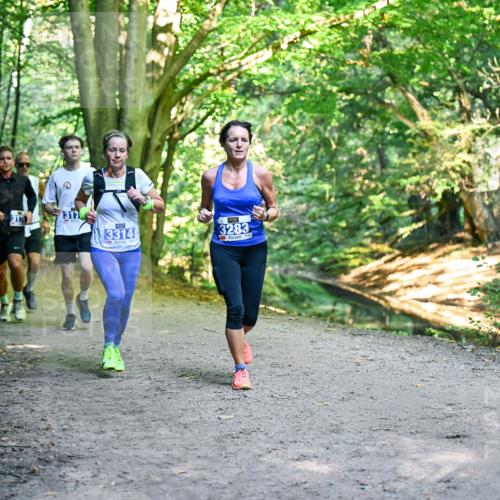 28.09.2025 - 33. Volkslauf durch das schöne Alstertal Dr. Thomas Lammeyer http://msf.ph/oto/8957096 28.09.2025 10:47:06 Laufen 317, 317, 3314, 3283 meine-sportfotos.de