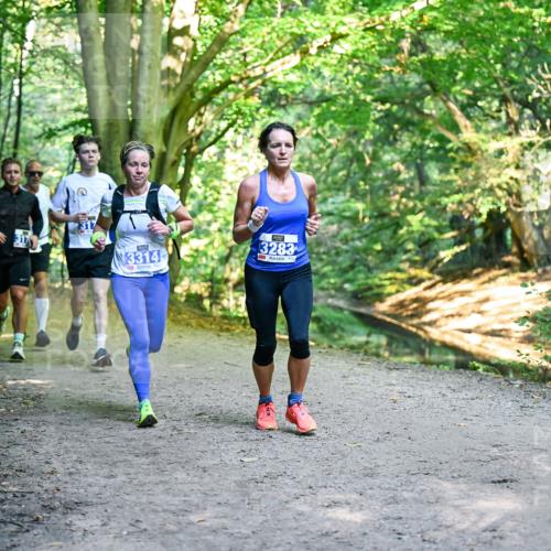 28.09.2025 - 33. Volkslauf durch das schöne Alstertal Dr. Thomas Lammeyer http://msf.ph/oto/8957097 28.09.2025 10:47:06 Laufen 317, 3314, 3283 meine-sportfotos.de