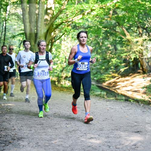 28.09.2025 - 33. Volkslauf durch das schöne Alstertal Dr. Thomas Lammeyer http://msf.ph/oto/8957098 28.09.2025 10:47:06 Laufen 3314, 3283 meine-sportfotos.de