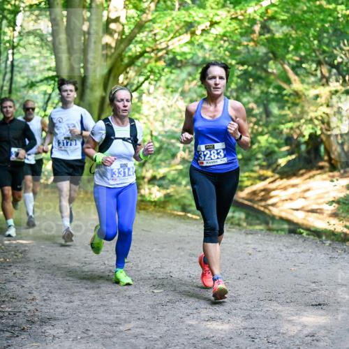 28.09.2025 - 33. Volkslauf durch das schöne Alstertal Dr. Thomas Lammeyer http://msf.ph/oto/8957100 28.09.2025 10:47:07 Laufen 3179, 3314, 3283 meine-sportfotos.de