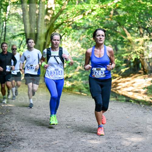 28.09.2025 - 33. Volkslauf durch das schöne Alstertal Dr. Thomas Lammeyer http://msf.ph/oto/8957102 28.09.2025 10:47:07 Laufen 2, 3314, 3283 meine-sportfotos.de