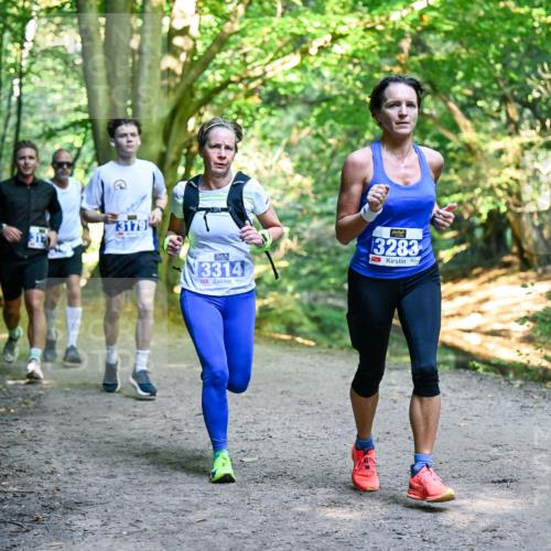 28.09.2025 - 33. Volkslauf durch das schöne Alstertal Dr. Thomas Lammeyer http://msf.ph/oto/8957103 28.09.2025 10:47:07 Laufen 3179, 3314, 3283 meine-sportfotos.de