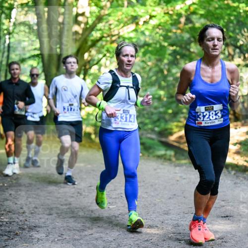 28.09.2025 - 33. Volkslauf durch das schöne Alstertal Dr. Thomas Lammeyer http://msf.ph/oto/8957105 28.09.2025 10:47:07 Laufen 3314, 3283 meine-sportfotos.de