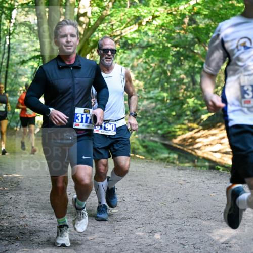 28.09.2025 - 33. Volkslauf durch das schöne Alstertal Dr. Thomas Lammeyer http://msf.ph/oto/8957113 28.09.2025 10:47:09 Laufen 317, 7, 190, 3179 meine-sportfotos.de