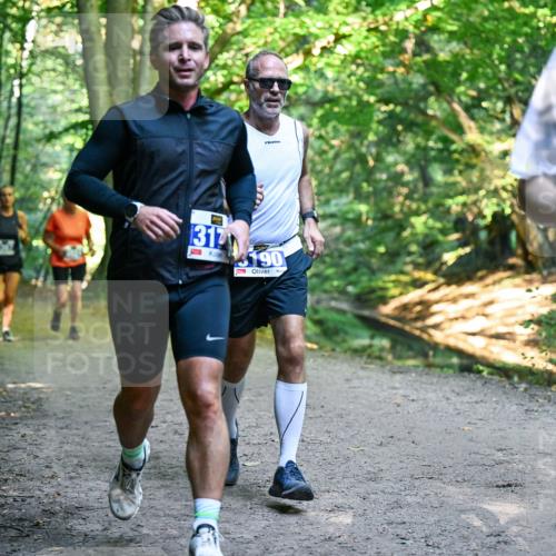 28.09.2025 - 33. Volkslauf durch das schöne Alstertal Dr. Thomas Lammeyer http://msf.ph/oto/8957114 28.09.2025 10:47:09 Laufen 1317, 3190, 3179 meine-sportfotos.de