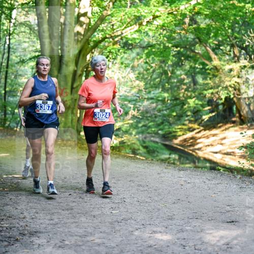 28.09.2025 - 33. Volkslauf durch das schöne Alstertal Dr. Thomas Lammeyer http://msf.ph/oto/8957130 28.09.2025 10:47:12 Laufen 3367, 3024 meine-sportfotos.de