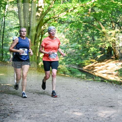 28.09.2025 - 33. Volkslauf durch das schöne Alstertal Dr. Thomas Lammeyer http://msf.ph/oto/8957131 28.09.2025 10:47:12 Laufen 67, 5024 meine-sportfotos.de