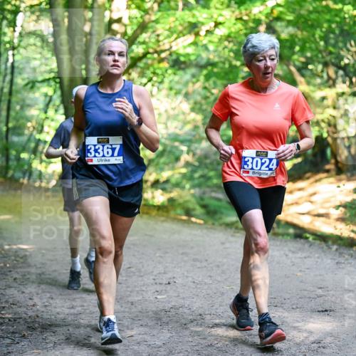 28.09.2025 - 33. Volkslauf durch das schöne Alstertal Dr. Thomas Lammeyer http://msf.ph/oto/8957139 28.09.2025 10:47:13 Laufen 3367, 3024 meine-sportfotos.de