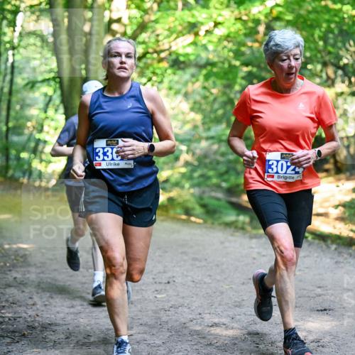 28.09.2025 - 33. Volkslauf durch das schöne Alstertal Dr. Thomas Lammeyer http://msf.ph/oto/8957141 28.09.2025 10:47:13 Laufen 336, 3024 meine-sportfotos.de
