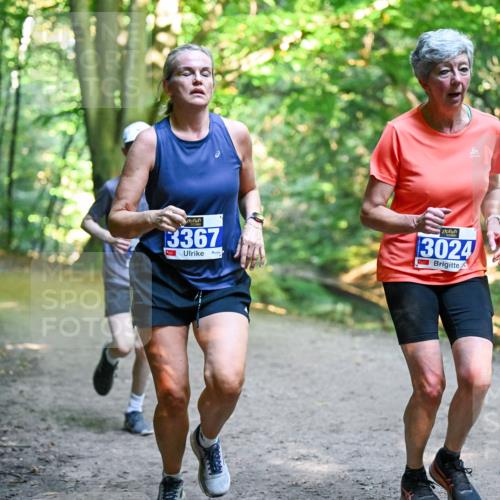 28.09.2025 - 33. Volkslauf durch das schöne Alstertal Dr. Thomas Lammeyer http://msf.ph/oto/8957142 28.09.2025 10:47:13 Laufen 3367, 11, 3024 meine-sportfotos.de