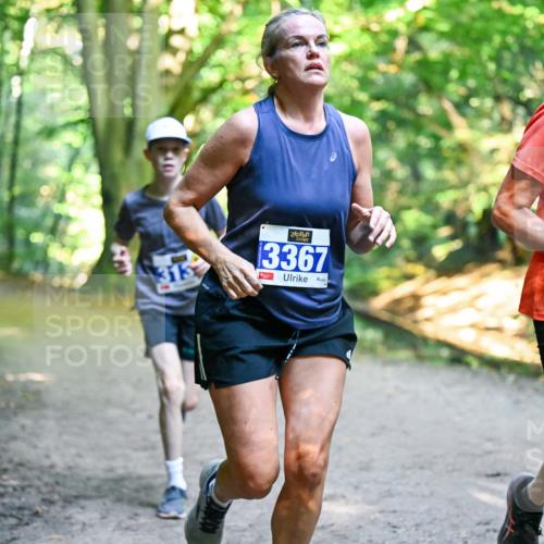 28.09.2025 - 33. Volkslauf durch das schöne Alstertal Dr. Thomas Lammeyer http://msf.ph/oto/8957144 28.09.2025 10:47:13 Laufen 313, 13367, 024 meine-sportfotos.de