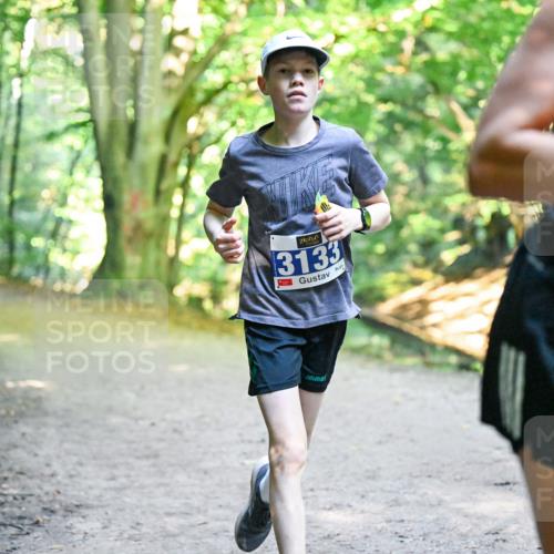 28.09.2025 - 33. Volkslauf durch das schöne Alstertal Dr. Thomas Lammeyer http://msf.ph/oto/8957148 28.09.2025 10:47:14 Laufen 3133 meine-sportfotos.de