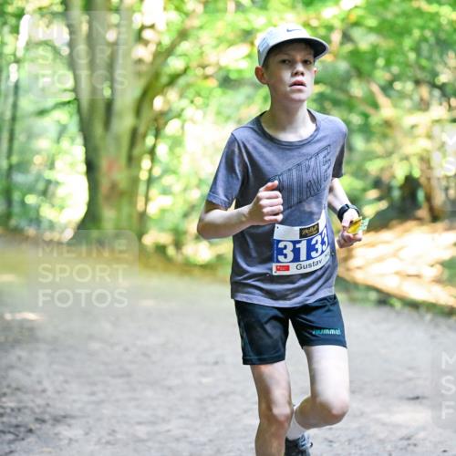 28.09.2025 - 33. Volkslauf durch das schöne Alstertal Dr. Thomas Lammeyer http://msf.ph/oto/8957149 28.09.2025 10:47:14 Laufen 313 meine-sportfotos.de