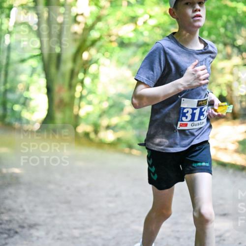28.09.2025 - 33. Volkslauf durch das schöne Alstertal Dr. Thomas Lammeyer http://msf.ph/oto/8957150 28.09.2025 10:47:14 Laufen 313 meine-sportfotos.de