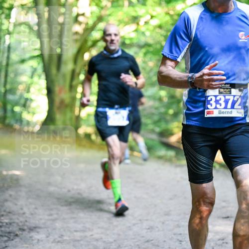 28.09.2025 - 33. Volkslauf durch das schöne Alstertal Dr. Thomas Lammeyer http://msf.ph/oto/8957163 28.09.2025 10:47:22 Laufen 3372 meine-sportfotos.de