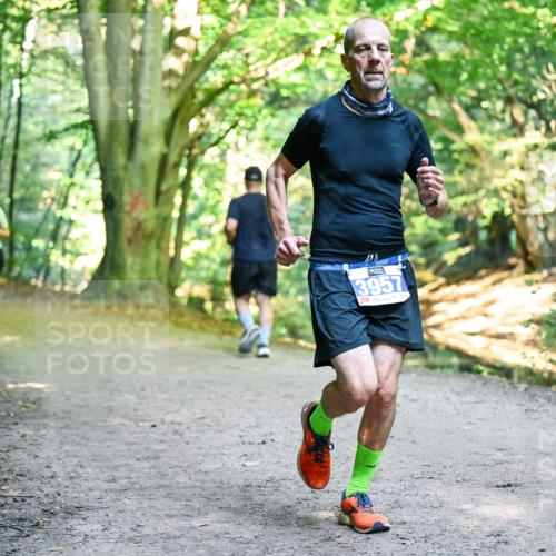 28.09.2025 - 33. Volkslauf durch das schöne Alstertal Dr. Thomas Lammeyer http://msf.ph/oto/8957166 28.09.2025 10:47:22 Laufen 3957 meine-sportfotos.de