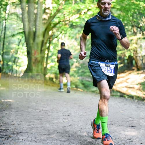28.09.2025 - 33. Volkslauf durch das schöne Alstertal Dr. Thomas Lammeyer http://msf.ph/oto/8957167 28.09.2025 10:47:22 Laufen 3957 meine-sportfotos.de