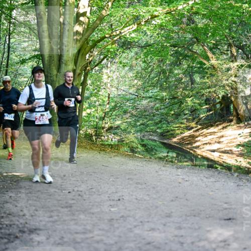 28.09.2025 - 33. Volkslauf durch das schöne Alstertal Dr. Thomas Lammeyer http://msf.ph/oto/8957169 28.09.2025 10:47:26 Laufen 3042, 3307, 2483 meine-sportfotos.de