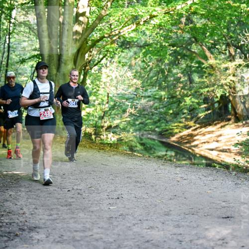 28.09.2025 - 33. Volkslauf durch das schöne Alstertal Dr. Thomas Lammeyer http://msf.ph/oto/8957170 28.09.2025 10:47:26 Laufen 3307, 041, 2483 meine-sportfotos.de