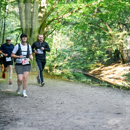 28.09.2025 - 33. Volkslauf durch das schöne Alstertal Dr. Thomas Lammeyer http://msf.ph/oto/8957171 28.09.2025 10:47:26 Laufen 3307, 2481, 3041 meine-sportfotos.de