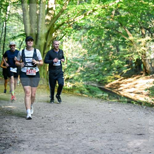 28.09.2025 - 33. Volkslauf durch das schöne Alstertal Dr. Thomas Lammeyer http://msf.ph/oto/8957173 28.09.2025 10:47:27 Laufen 307, 2483, 3941 meine-sportfotos.de