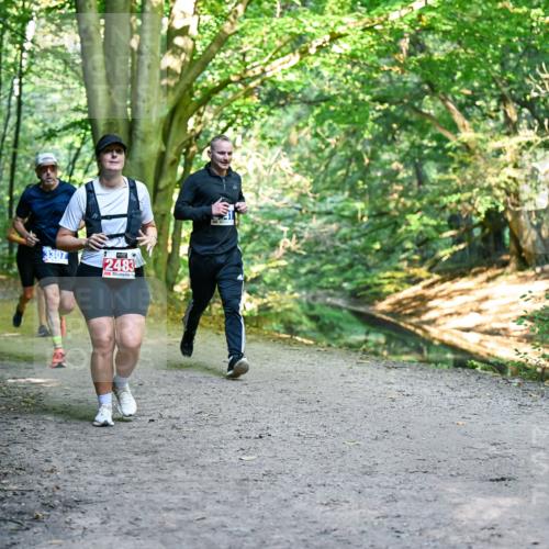 28.09.2025 - 33. Volkslauf durch das schöne Alstertal Dr. Thomas Lammeyer http://msf.ph/oto/8957174 28.09.2025 10:47:27 Laufen 3307, 2483 meine-sportfotos.de