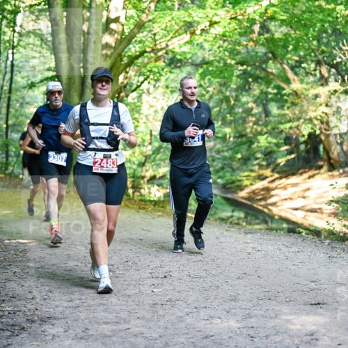 28.09.2025 - 33. Volkslauf durch das schöne Alstertal Dr. Thomas Lammeyer http://msf.ph/oto/8957179 28.09.2025 10:47:27 Laufen 3307, 2483, 364 meine-sportfotos.de