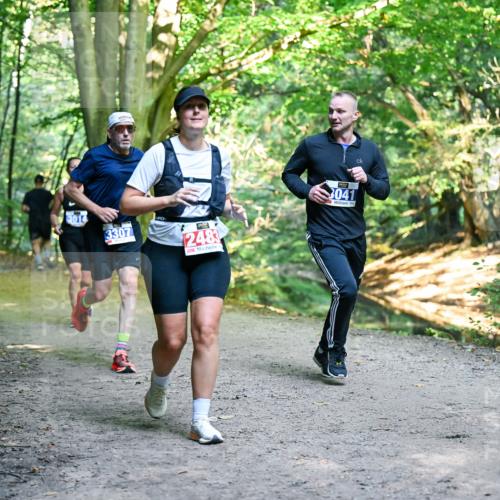 28.09.2025 - 33. Volkslauf durch das schöne Alstertal Dr. Thomas Lammeyer http://msf.ph/oto/8957182 28.09.2025 10:47:28 Laufen 3014, 3307, 2483, 3041 meine-sportfotos.de