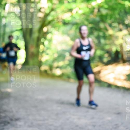 28.09.2025 - 33. Volkslauf durch das schöne Alstertal Dr. Thomas Lammeyer http://msf.ph/oto/8957196 28.09.2025 10:47:30 Laufen  meine-sportfotos.de