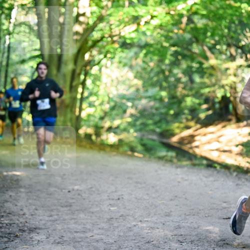 28.09.2025 - 33. Volkslauf durch das schöne Alstertal Dr. Thomas Lammeyer http://msf.ph/oto/8957198 28.09.2025 10:47:31 Laufen 3014 meine-sportfotos.de