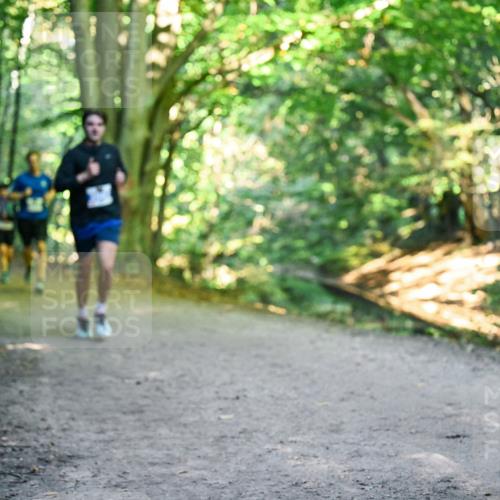 28.09.2025 - 33. Volkslauf durch das schöne Alstertal Dr. Thomas Lammeyer http://msf.ph/oto/8957199 28.09.2025 10:47:31 Laufen 13 meine-sportfotos.de