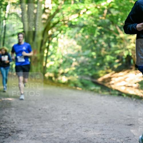 28.09.2025 - 33. Volkslauf durch das schöne Alstertal Dr. Thomas Lammeyer http://msf.ph/oto/8957217 28.09.2025 10:47:33 Laufen 13042 meine-sportfotos.de