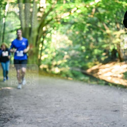 28.09.2025 - 33. Volkslauf durch das schöne Alstertal Dr. Thomas Lammeyer http://msf.ph/oto/8957218 28.09.2025 10:47:33 Laufen  meine-sportfotos.de