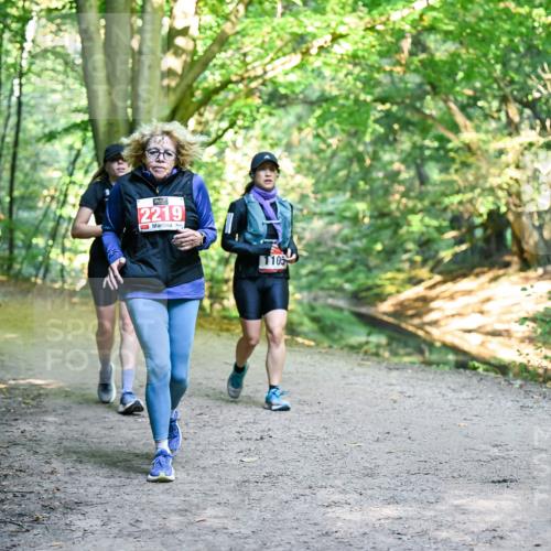 28.09.2025 - 33. Volkslauf durch das schöne Alstertal Dr. Thomas Lammeyer http://msf.ph/oto/8957238 28.09.2025 10:47:37 Laufen 2219, 1105 meine-sportfotos.de