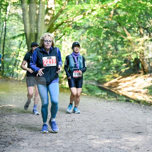 28.09.2025 - 33. Volkslauf durch das schöne Alstertal Dr. Thomas Lammeyer http://msf.ph/oto/8957239 28.09.2025 10:47:37 Laufen 2219, 110 meine-sportfotos.de