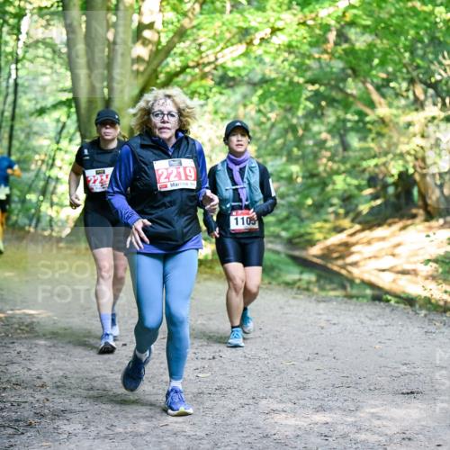 28.09.2025 - 33. Volkslauf durch das schöne Alstertal Dr. Thomas Lammeyer http://msf.ph/oto/8957241 28.09.2025 10:47:38 Laufen 2219, 1103 meine-sportfotos.de