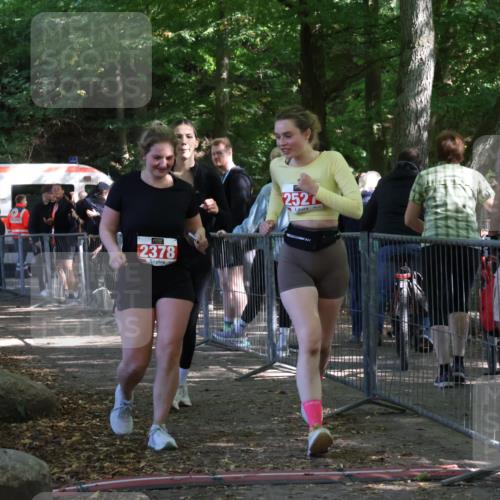 28.09.2025 - 33. Volkslauf durch das schöne Alstertal Strokosch-Dieckow http://msf.ph/oto/8957242 28.09.2025 13:02:17 Ziel 2247, 2378, 2527 meine-sportfotos.de