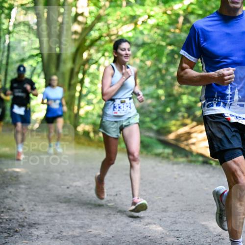 28.09.2025 - 33. Volkslauf durch das schöne Alstertal Dr. Thomas Lammeyer http://msf.ph/oto/8957267 28.09.2025 10:47:43 Laufen 13382 meine-sportfotos.de