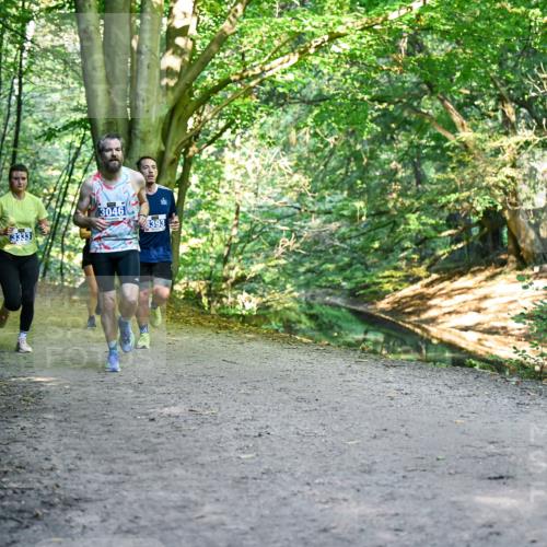 28.09.2025 - 33. Volkslauf durch das schöne Alstertal Dr. Thomas Lammeyer http://msf.ph/oto/8957307 28.09.2025 10:47:53 Laufen 3333, 3046, 6393 meine-sportfotos.de