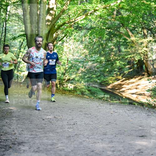 28.09.2025 - 33. Volkslauf durch das schöne Alstertal Dr. Thomas Lammeyer http://msf.ph/oto/8957310 28.09.2025 10:47:53 Laufen 3046, 3393, 3333 meine-sportfotos.de