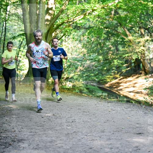 28.09.2025 - 33. Volkslauf durch das schöne Alstertal Dr. Thomas Lammeyer http://msf.ph/oto/8957312 28.09.2025 10:47:53 Laufen 3333, 3046, 3393, 9 meine-sportfotos.de