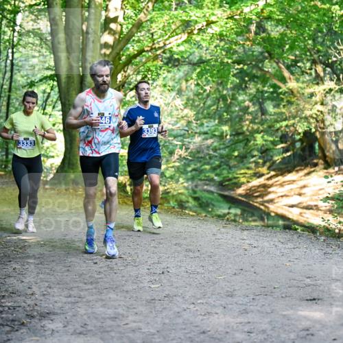 28.09.2025 - 33. Volkslauf durch das schöne Alstertal Dr. Thomas Lammeyer http://msf.ph/oto/8957314 28.09.2025 10:47:53 Laufen 3333, 46, 3393 meine-sportfotos.de