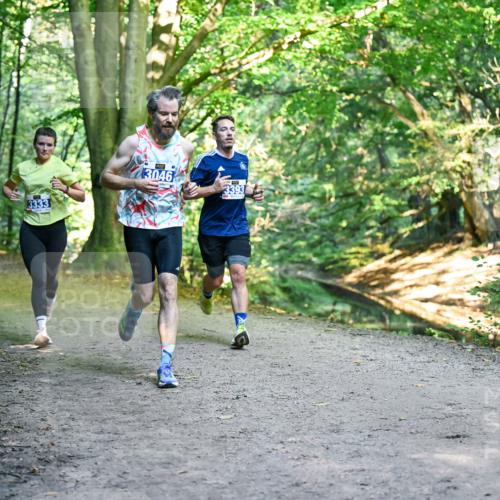28.09.2025 - 33. Volkslauf durch das schöne Alstertal Dr. Thomas Lammeyer http://msf.ph/oto/8957315 28.09.2025 10:47:53 Laufen 3333, 13046, 3393 meine-sportfotos.de