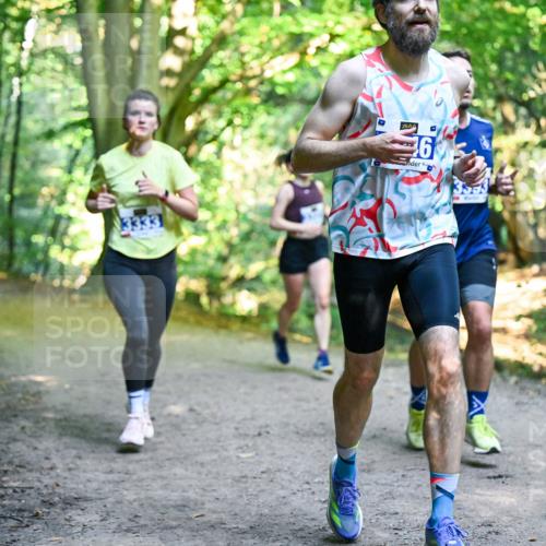 28.09.2025 - 33. Volkslauf durch das schöne Alstertal Dr. Thomas Lammeyer http://msf.ph/oto/8957325 28.09.2025 10:47:55 Laufen 3333, 6 meine-sportfotos.de
