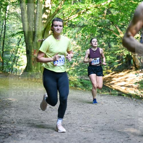 28.09.2025 - 33. Volkslauf durch das schöne Alstertal Dr. Thomas Lammeyer http://msf.ph/oto/8957328 28.09.2025 10:47:55 Laufen 333, 3223, 3046 meine-sportfotos.de